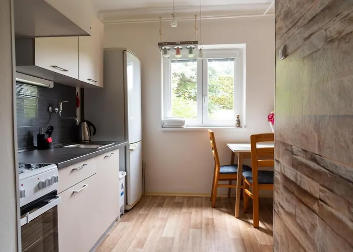 Apartman Fraise דירה דצ'ין